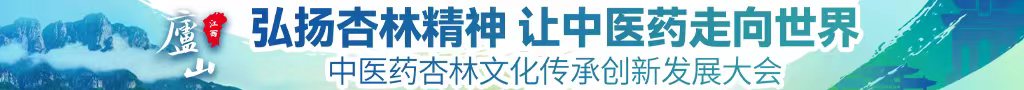 猛男抽插嫩B视频中医药杏林文化传承创新发展大会